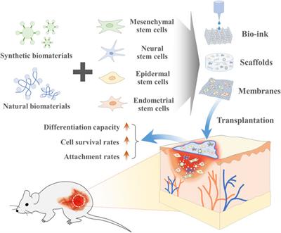 Enhancing Stem Cell-Based Therapeutic Potential by Combining Various Bioengineering Technologies